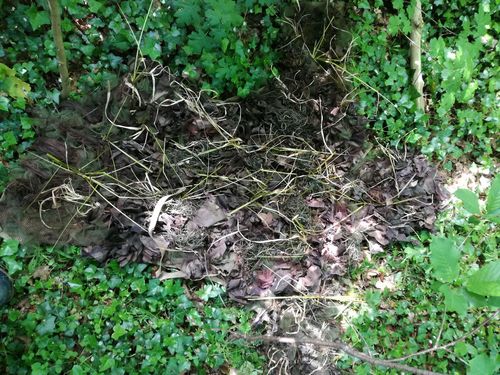 More information about "Custom ghillie suit"