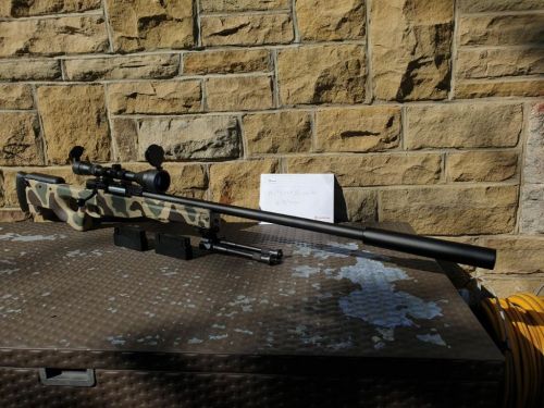 More information about "ASG AW.308"