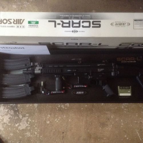 More information about "Tm scar L cqc"