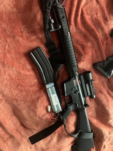 More information about "Tr16 r5"