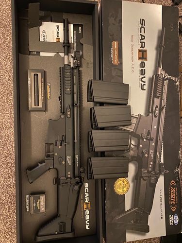 More information about "TM Scar H NGRS"