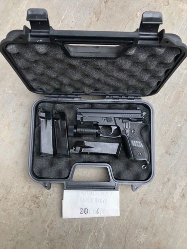 More information about "WE F229 with Torch, mags and Case (Sig Sauer P229)."