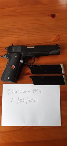 More information about "Western Arms Delta Elite"