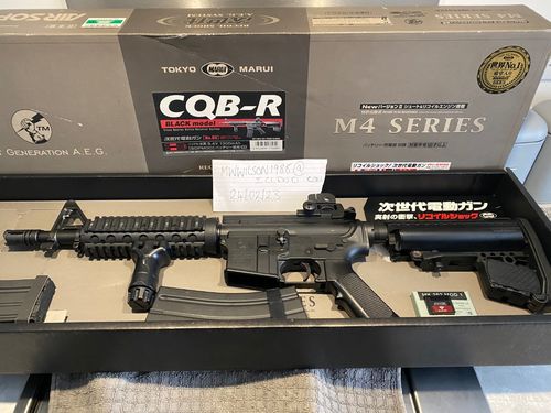 More information about "TM m4 ngrs"