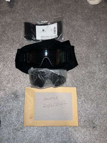 More information about "Revision Desert Locust Goggles (Clear / Smoke Lenses)"