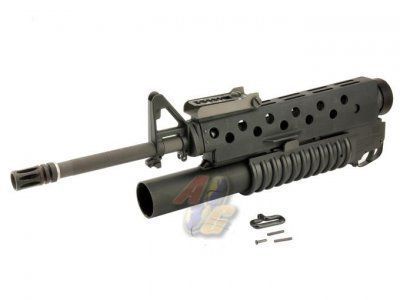 More information about "WTB G&P Long M203"