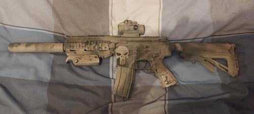 More information about "ICS CXP M4 variant"