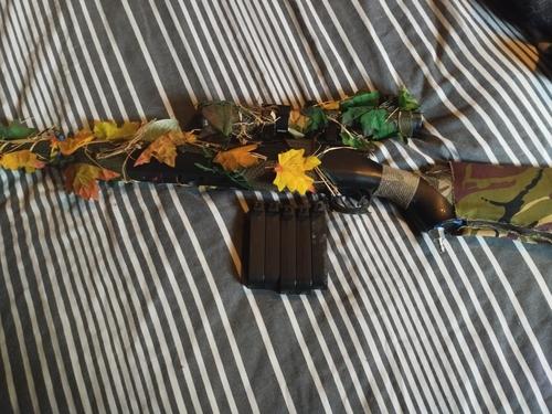 More information about "Wolverine Bolt M powered VSR10"