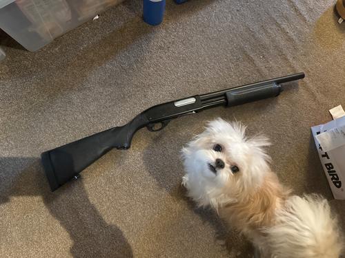 More information about "Maruzen M870"