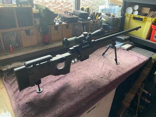 More information about "L118 Build"