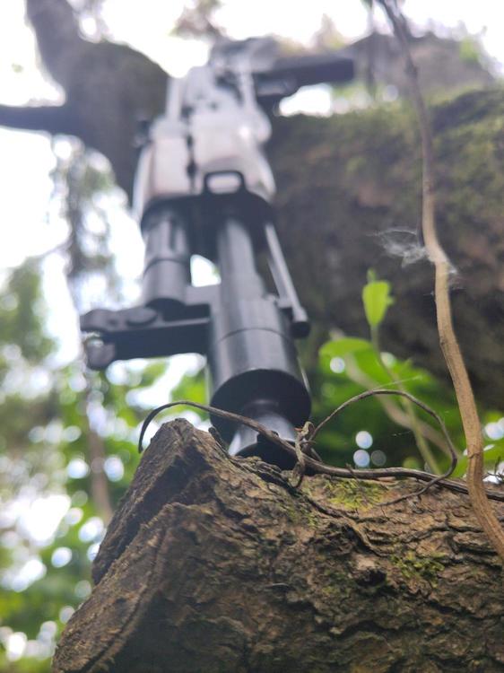 My AK on branch close.jpg