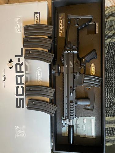 More information about "TM NGRS Scar L"