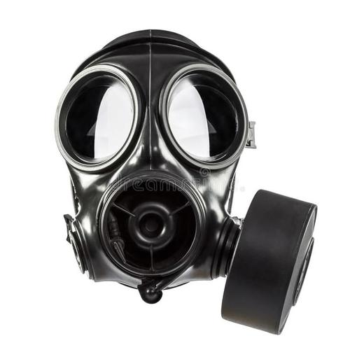 More information about "Avon S10 gas mask / FM12 dual filter mask"