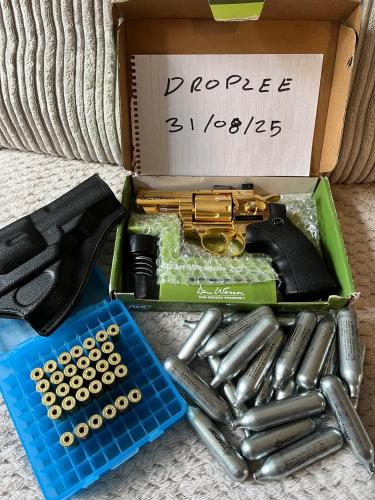 More information about "Dan Wesson 2.5” Gold Magnum"