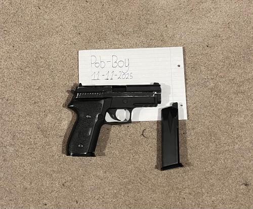 More information about "WE P229"