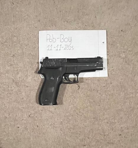 More information about "WE P226 E1"